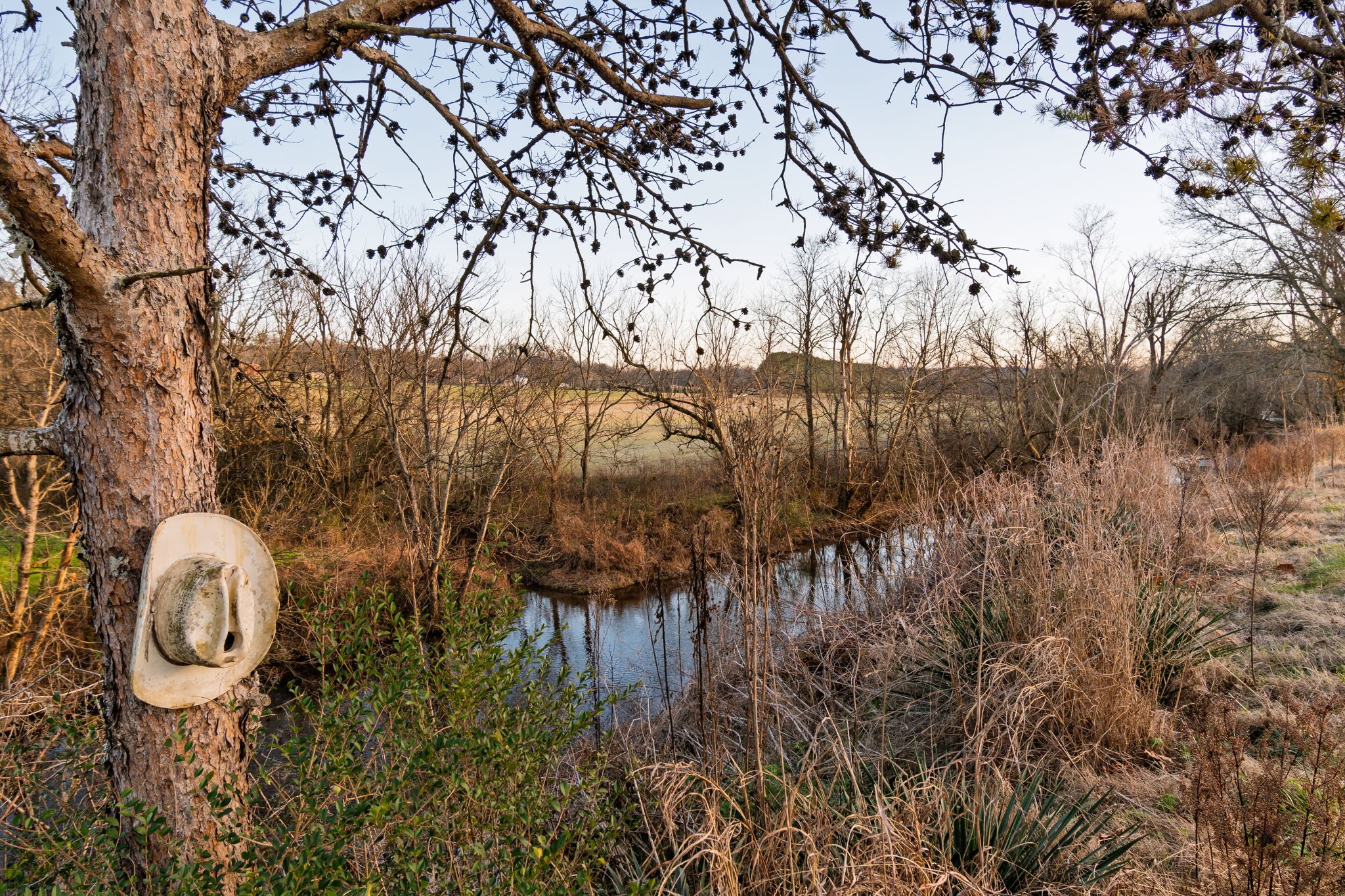 4824 Leipers Creek Road Williamsport, TN 38487 - Photo 34 of 34 a backyard of a house with lots of green space