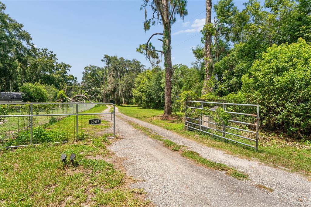 6202 Stafford Road Plant City, FL 33565 - Photo 52 of 79