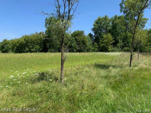 0 East Carpenter Road Davison, MI 48423 - Photo 6 of 9 Gallery Image 6