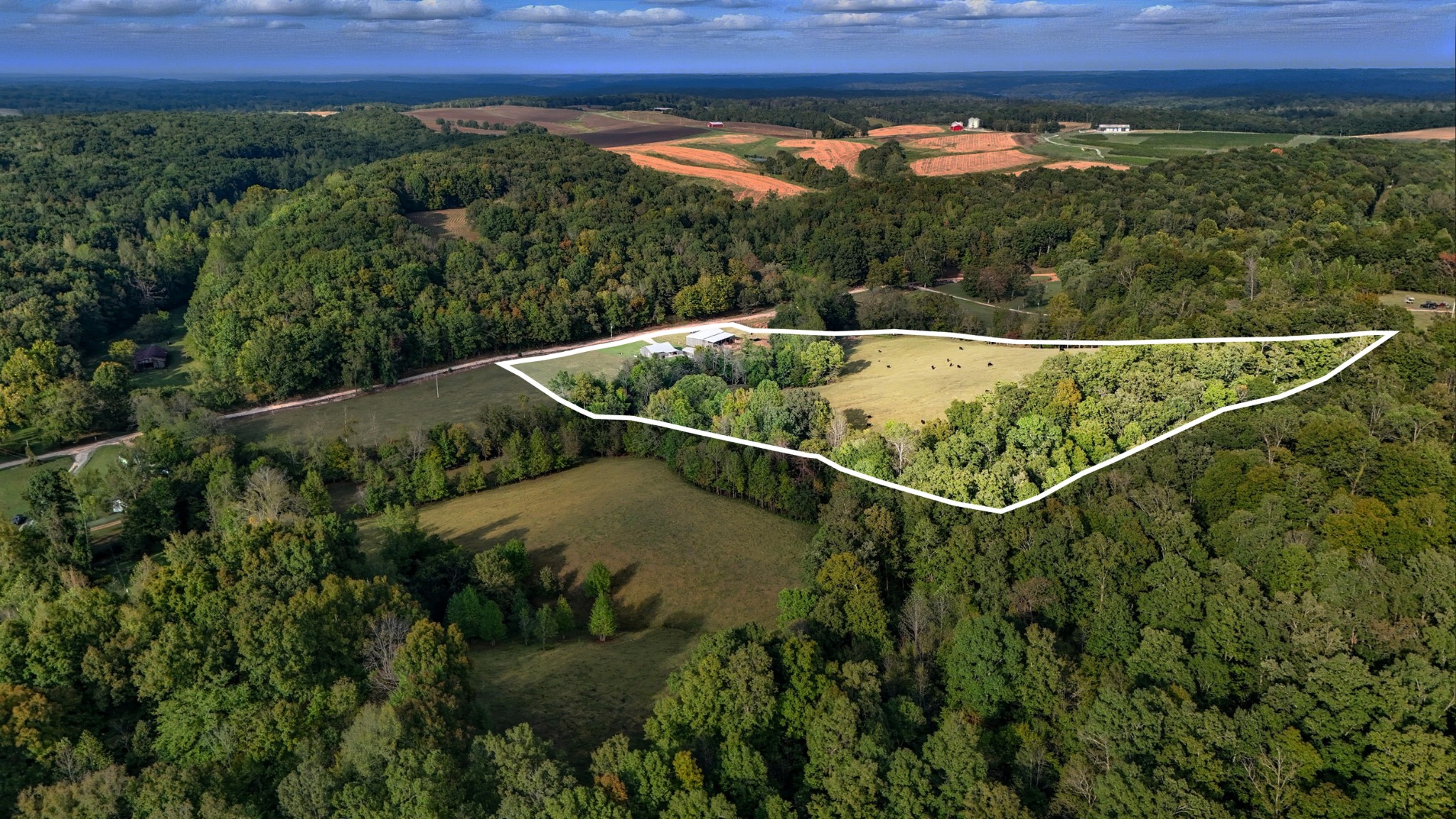 1215 Ennis Branch Road McEwen, TN 37101 - Photo 2 of 36 a view of a balcony with a forest
