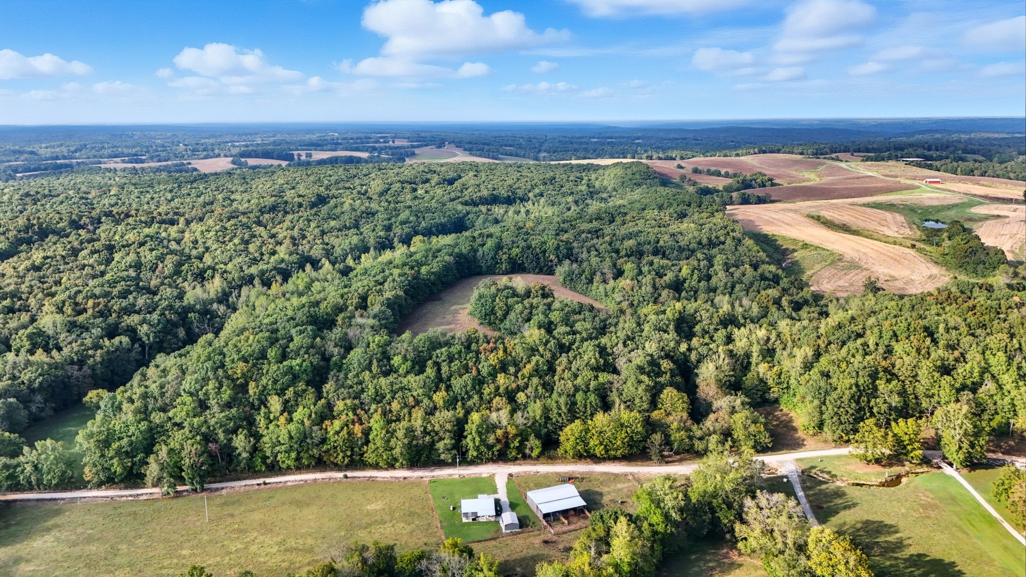 1215 Ennis Branch Road McEwen, TN 37101 - Photo 7 of 36 a view of a yard with a garden