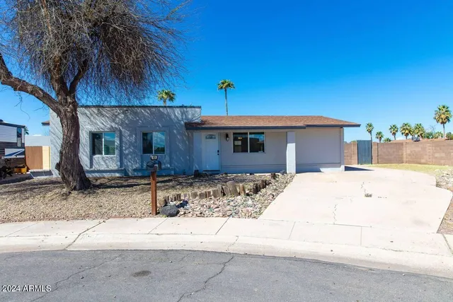 a palm tree sitting in front of a house
