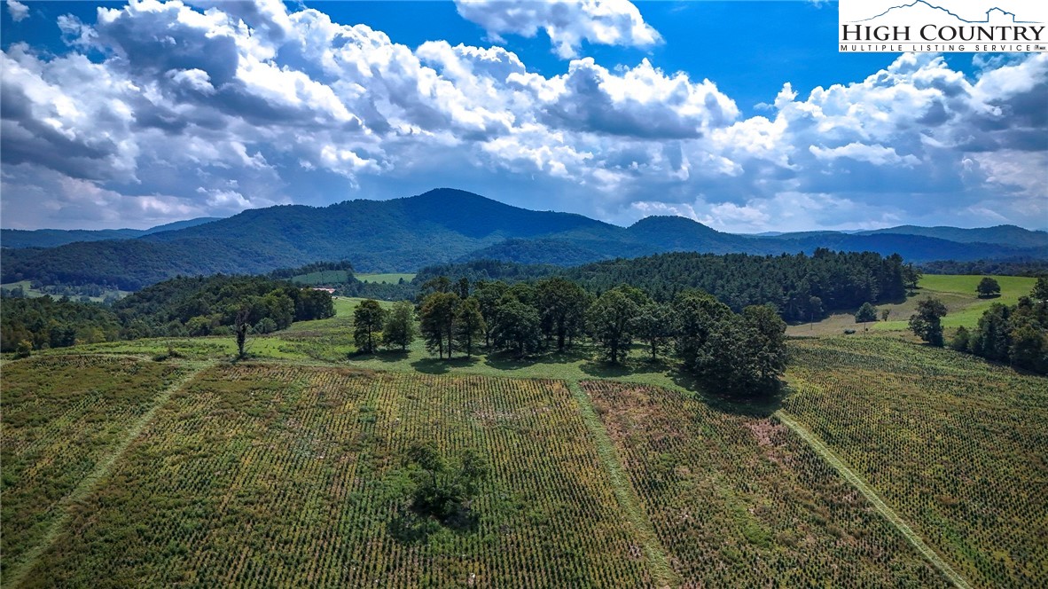 1046 J E Gentry Road Laurel Springs, NC 28644 - Photo 36 of 49 a view of an outdoor space and mountain view