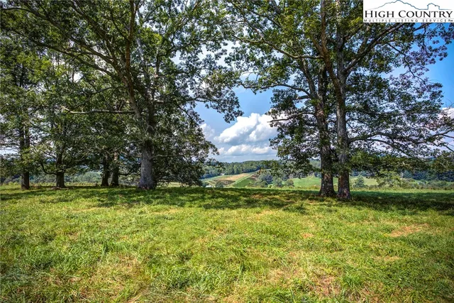 a view of a lush green field