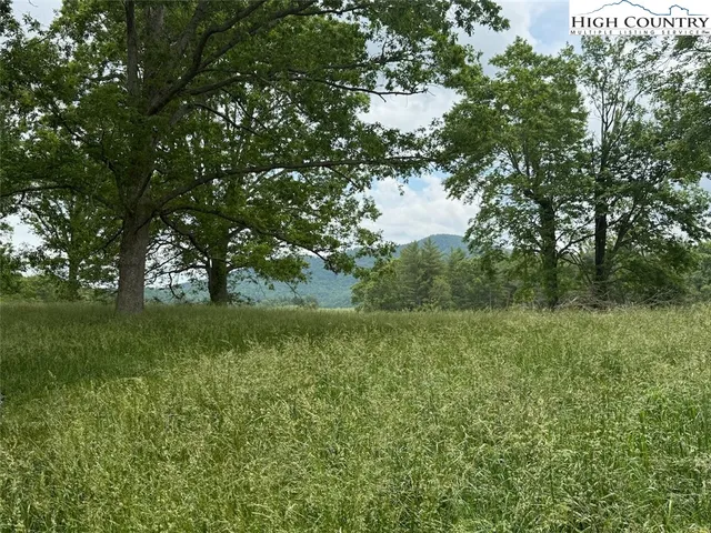 a view of a lush green space with sea