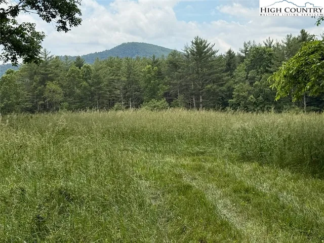 a view of a green field with lots of bushes