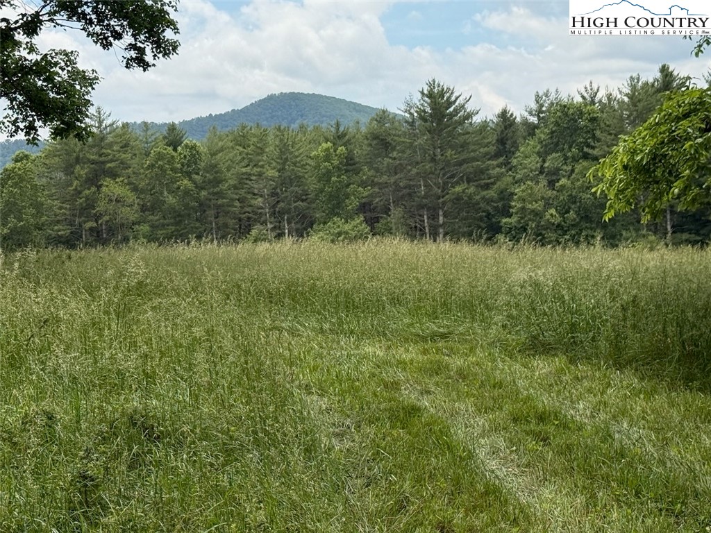 1046 J E Gentry Road Laurel Springs, NC 28644 - Photo 40 of 49 a view of a lush green field