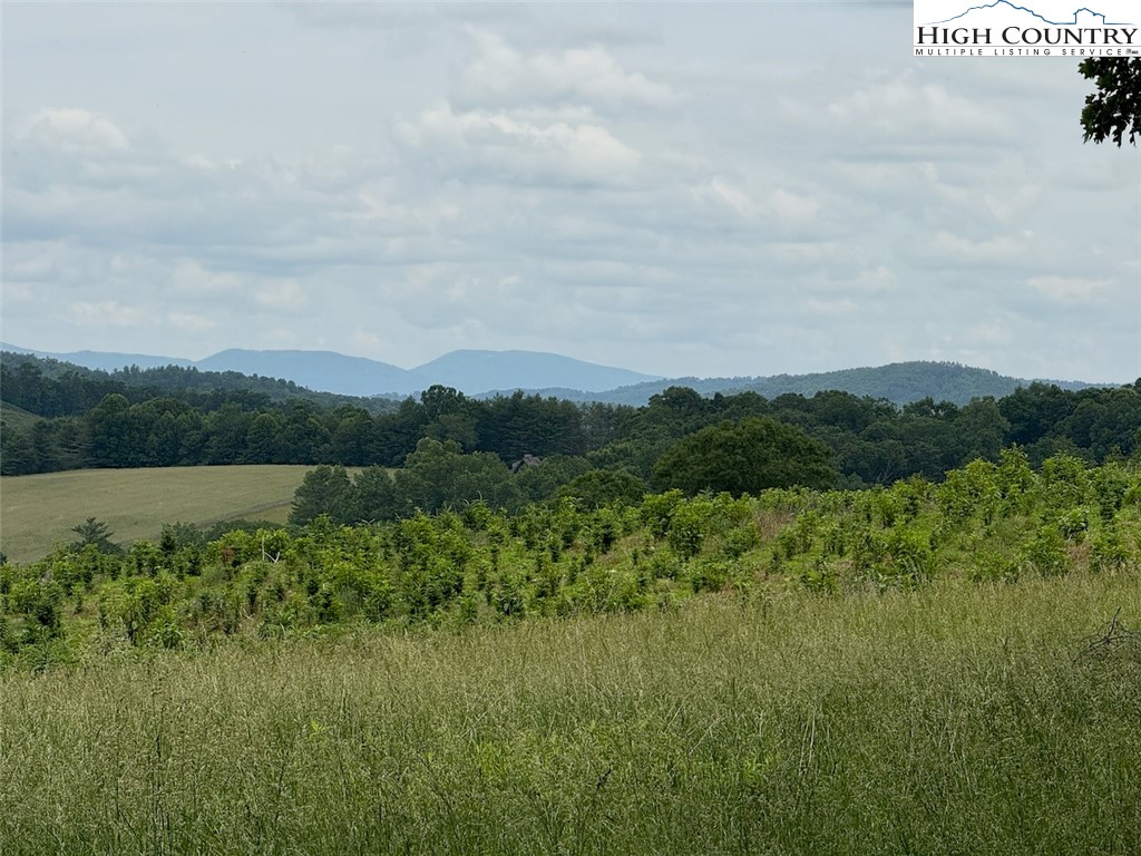 1046 J E Gentry Road Laurel Springs, NC 28644 - Photo 41 of 49 a view of a lush green space with sea