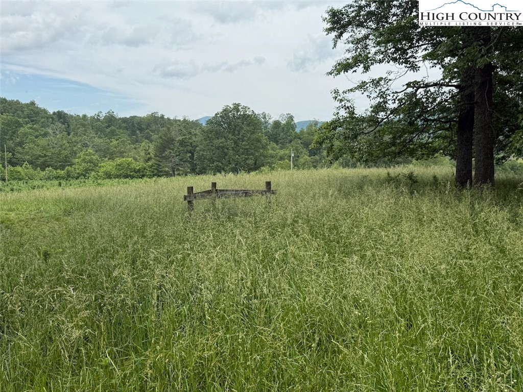 1046 J E Gentry Road Laurel Springs, NC 28644 - Photo 42 of 49 a view of a green field with lots of bushes