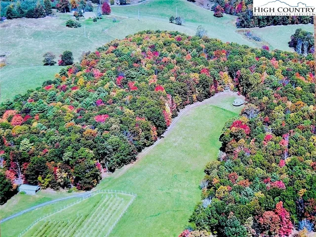 $1,599,000 | 1046 J E Gentry Road, Laurel Springs, NC 28644