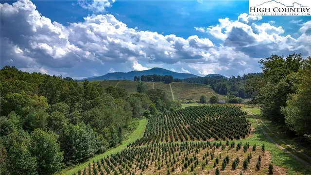 $1,599,000 | 1046 J E Gentry Road, Laurel Springs, NC 28644