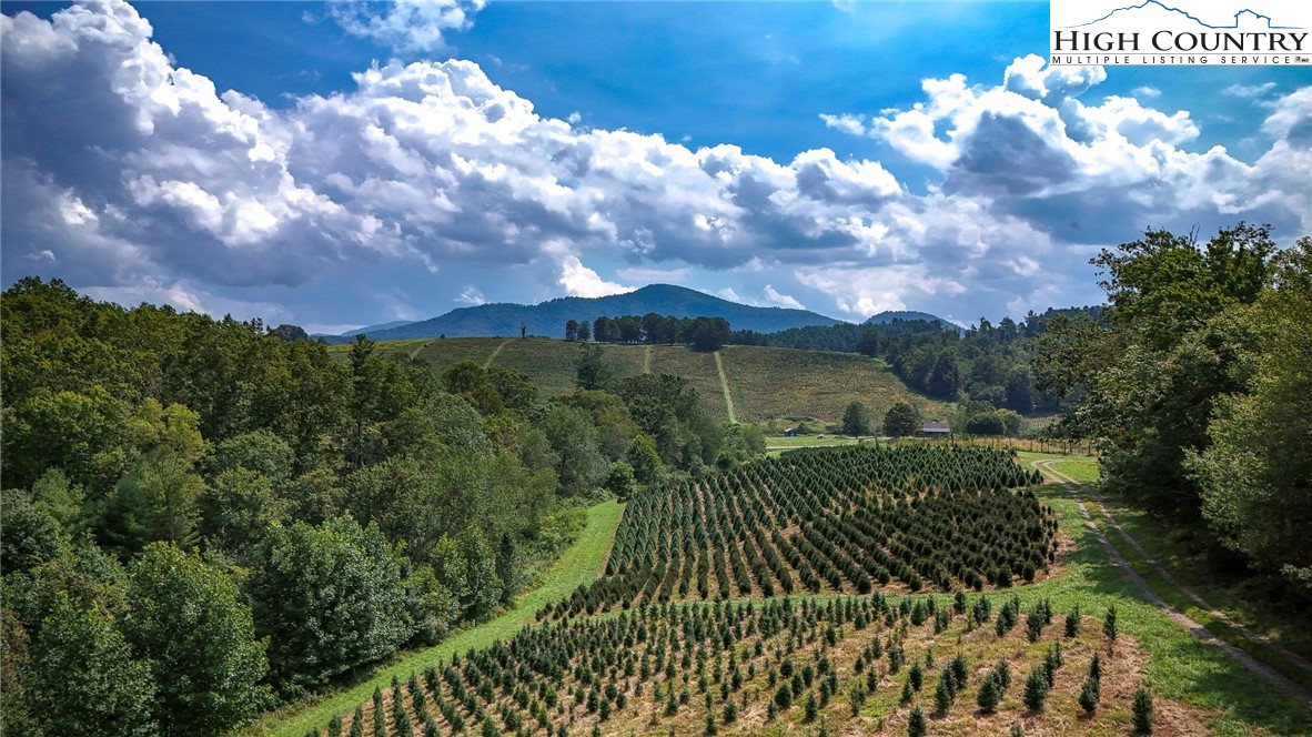 1046 J E Gentry Road Laurel Springs, NC 28644 - Photo 48 of 49