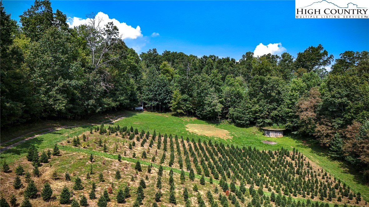 1046 J E Gentry Road Laurel Springs, NC 28644 - Photo 49 of 49 a view of a street with a yard of a house