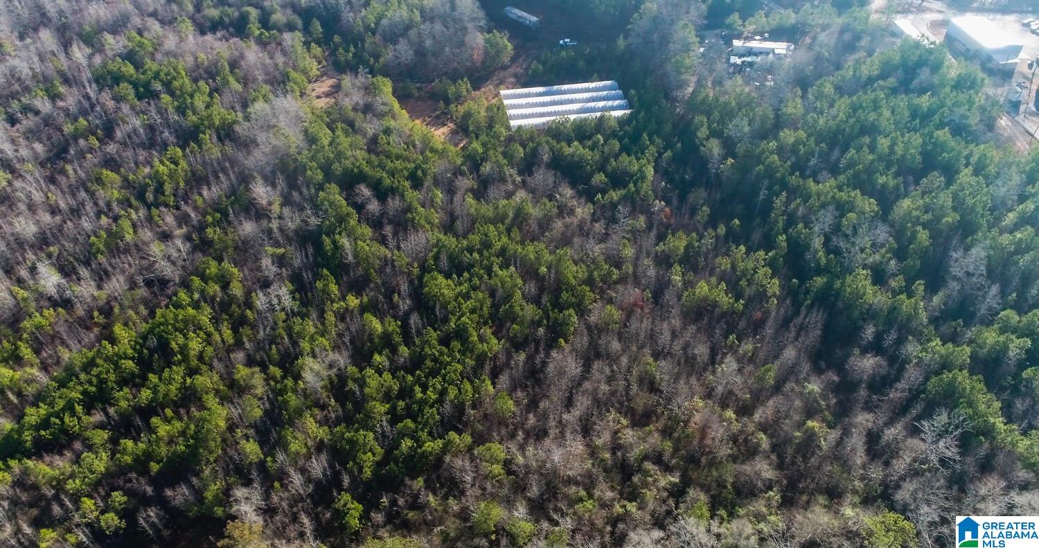 203 Racers Lane, Unit 1 Oxford, AL 36203 - Photo 7 of 21