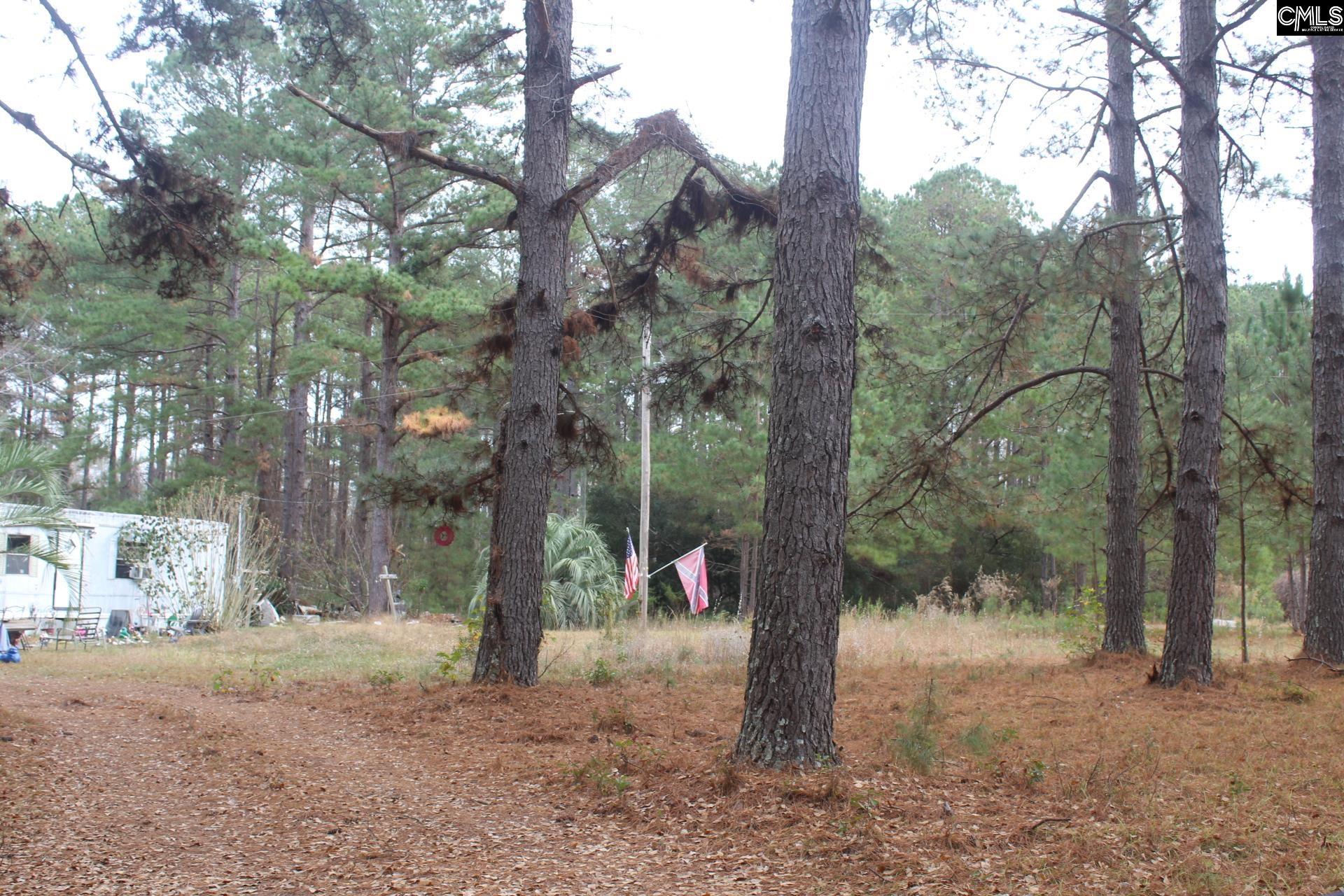 220 Ivory Street Cope, SC 29038 - Photo 6 of 14
