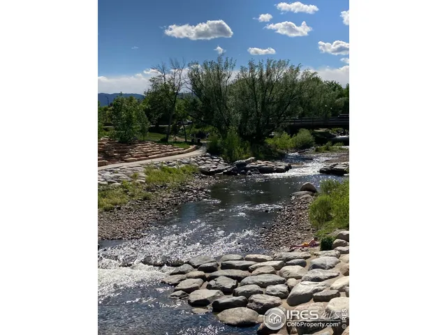 a view of a pathway with a tree