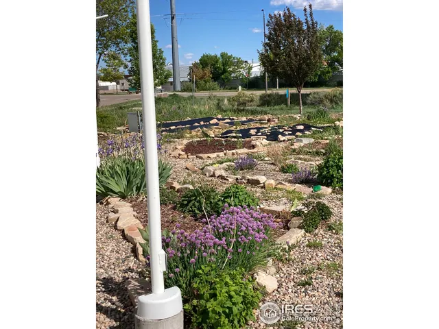 a picture of a door in the background