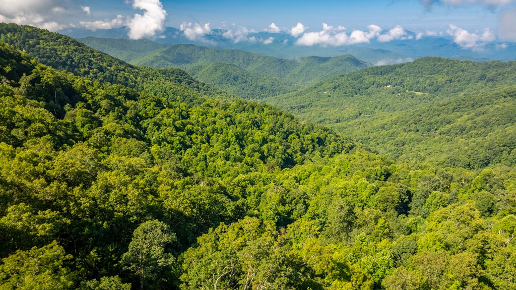 0 East Alarka Road Bryson City, NC 28713 - Photo 15 of 28