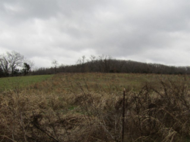 0 Anderson Road Byrdstown, TN 38549 - Photo 11 of 26 a view of a lake and mountain in the back