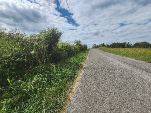 0 Anderson Road Byrdstown, TN 38549 - Photo 12 of 26 a view of a dry yard with wooden fence