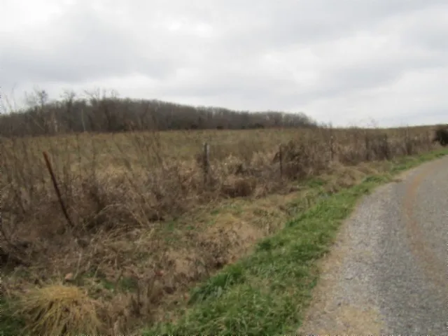 a view of a yard with an outdoor space
