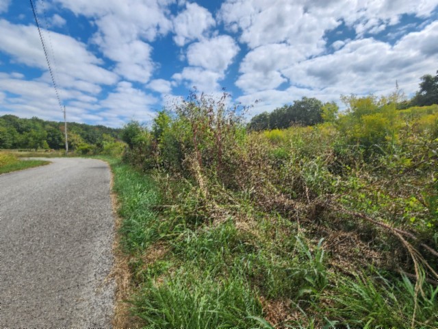 0 Anderson Road Byrdstown, TN 38549 - Photo 19 of 26 a view of a yard with plants and a bench