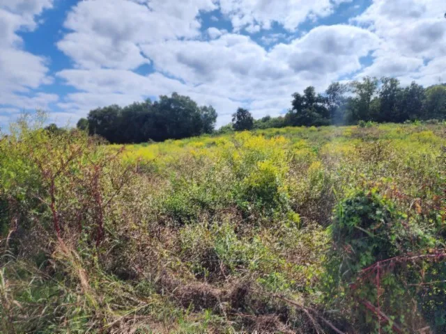 a view of lake and city