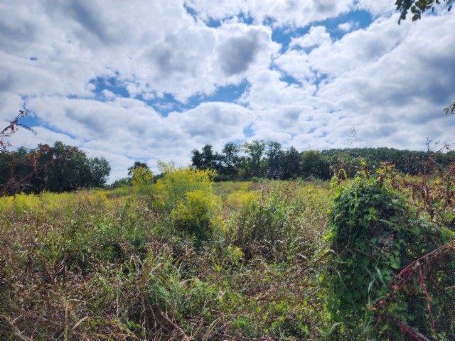 0 Anderson Road Byrdstown, TN 38549 - Photo 6 of 26 a view of lake and yard