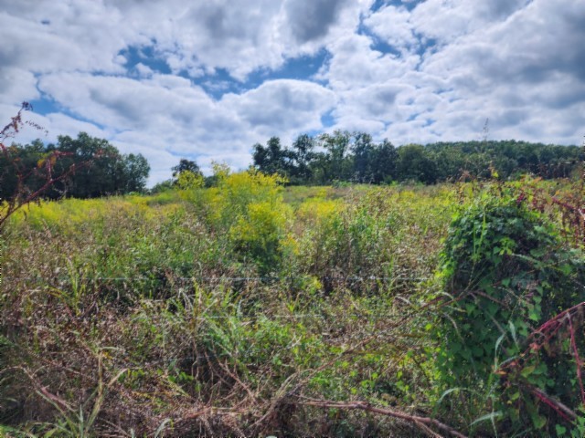 0 Anderson Road Byrdstown, TN 38549 - Photo 7 of 26 a view of a lake