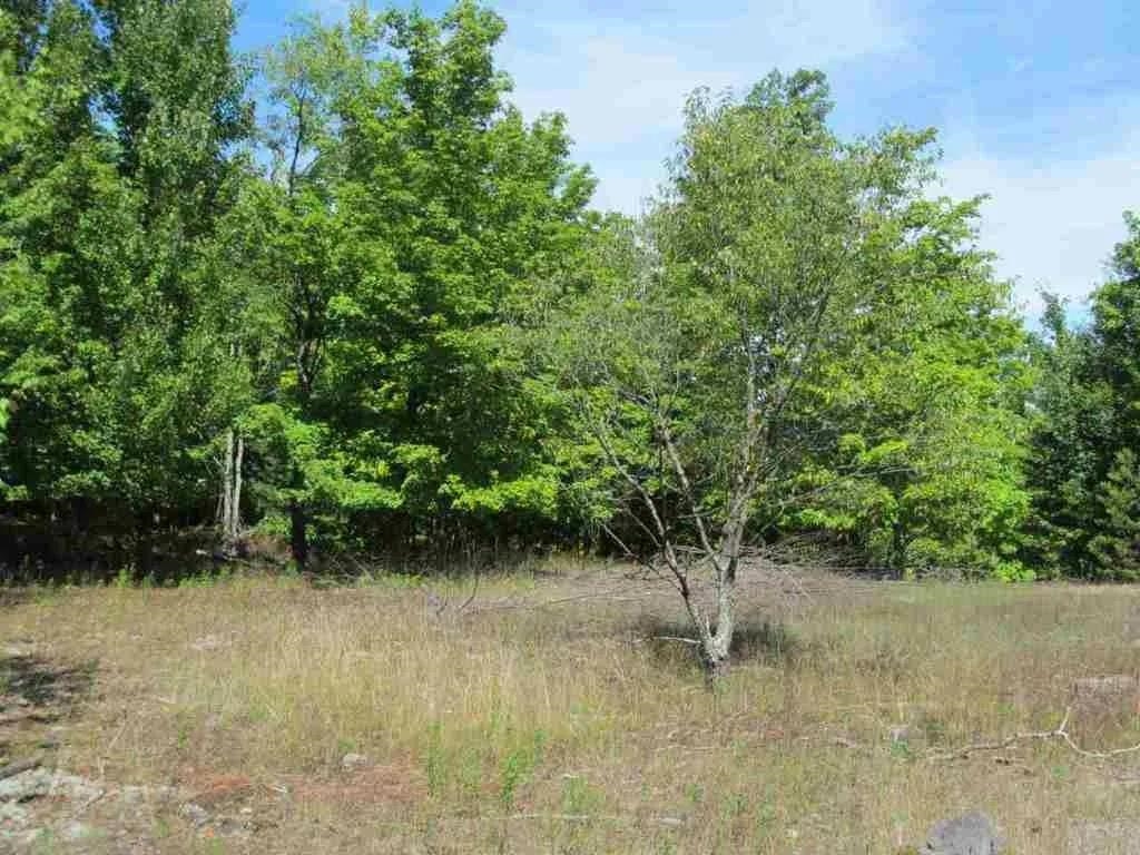 5560 North 3 Road Mesick, MI 49668 - Photo 11 of 14