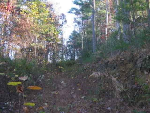 301 Mine Hollow Road Reliance, TN 37369 - Photo 3 of 5 Gallery Image 3
