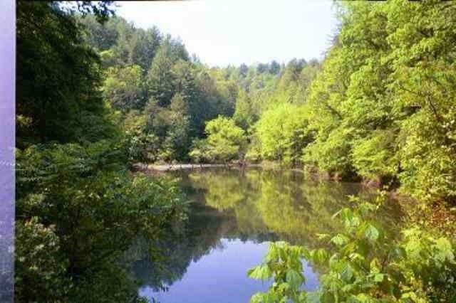 301 Mine Hollow Road Reliance, TN 37369 - Photo 4 of 5 Gallery Image 4