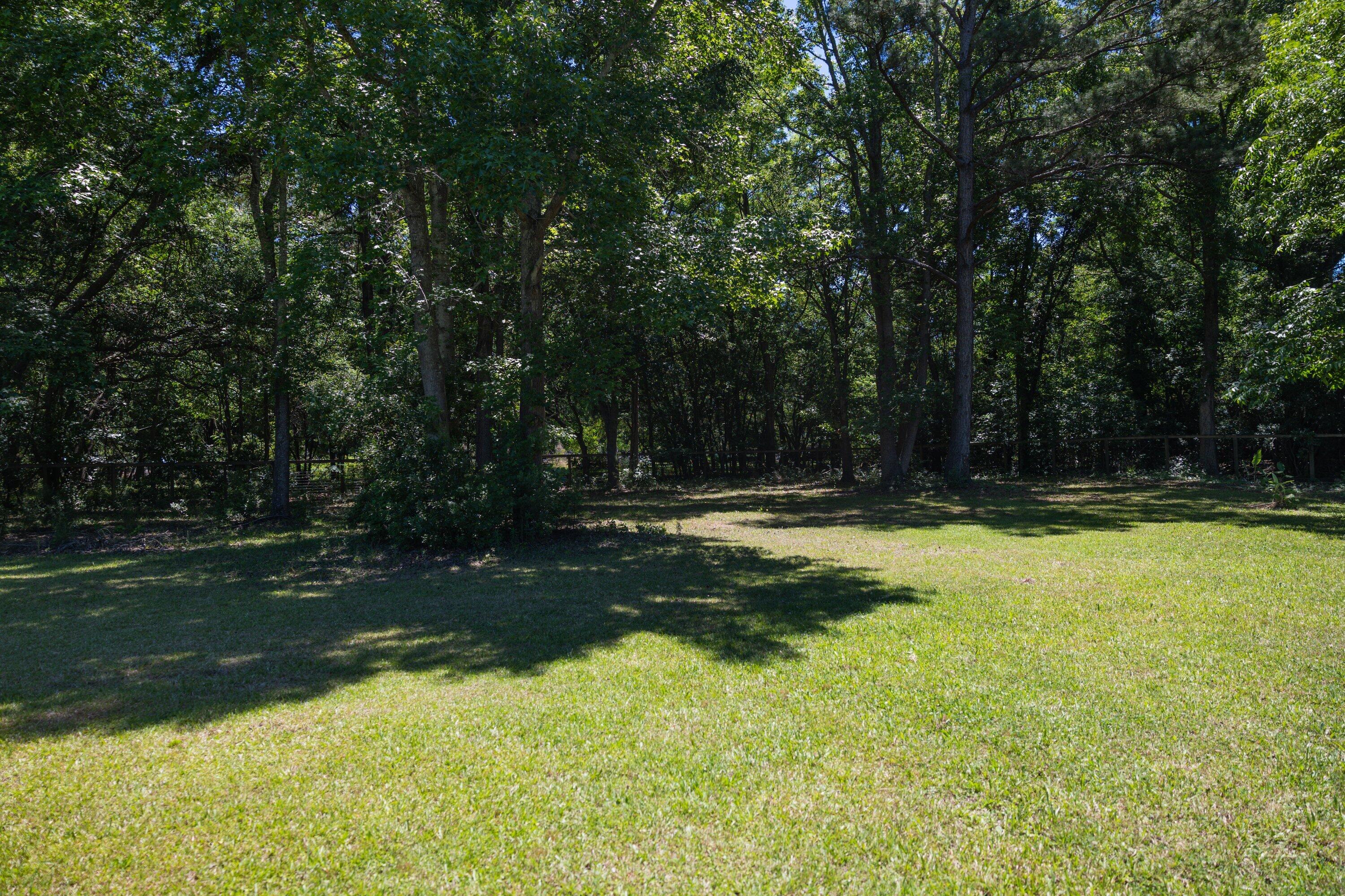 4712 Westervelt Road Meggett, SC 29449 - Photo 32 of 34 43_backyard_3G4A8441