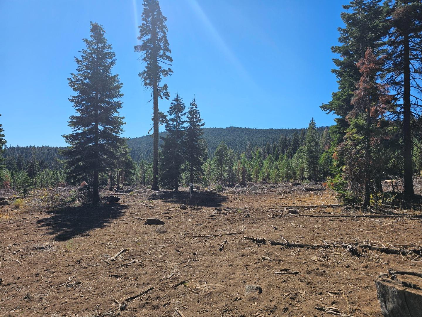 0 Prospect Road Alturas, CA 96101 - Photo 2 of 9 a view of a dirt road with trees