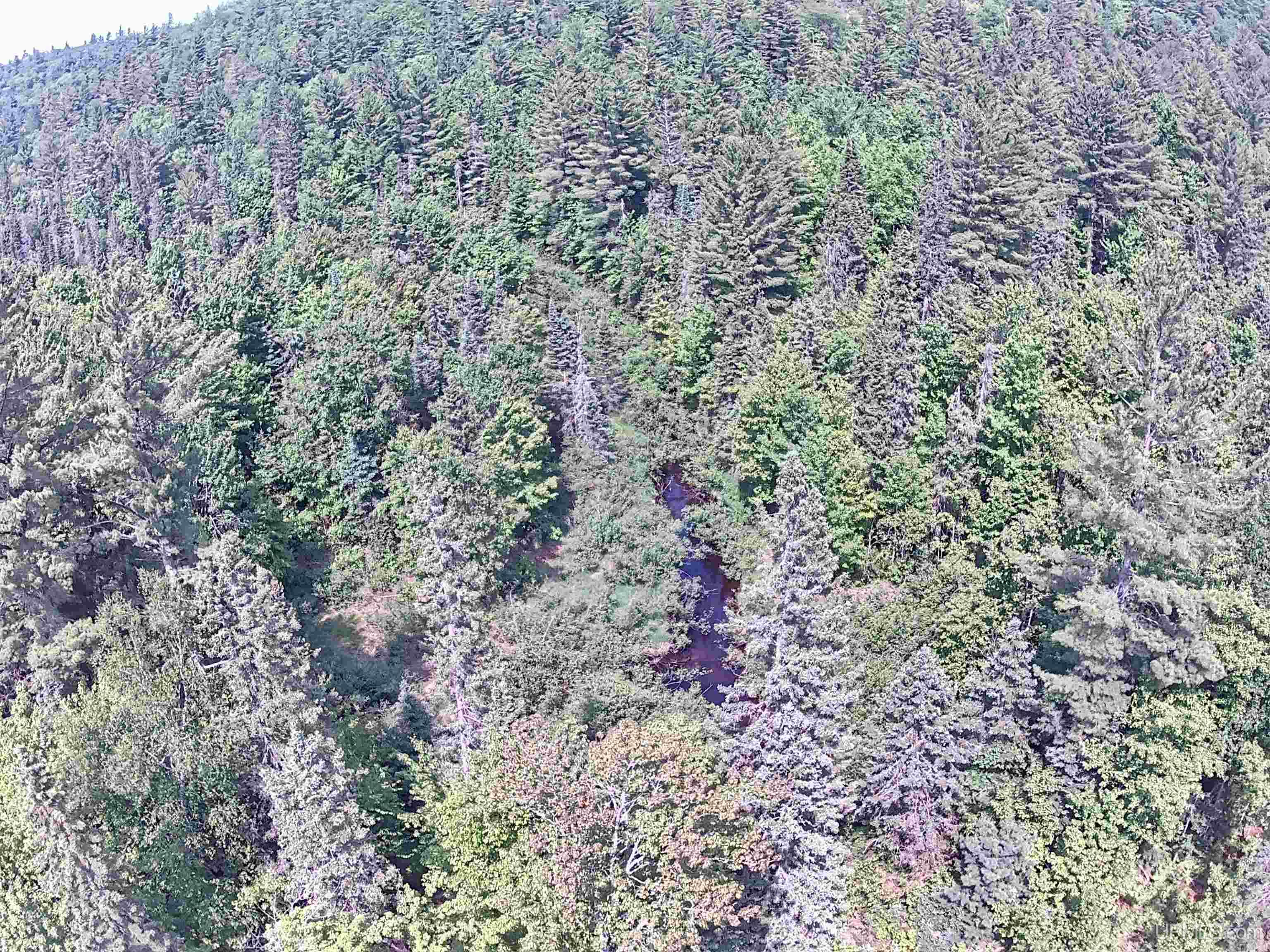 510 Rd Ishpeming Mi 49849 Road Negaunee, MI 49866 - Photo 5 of 35