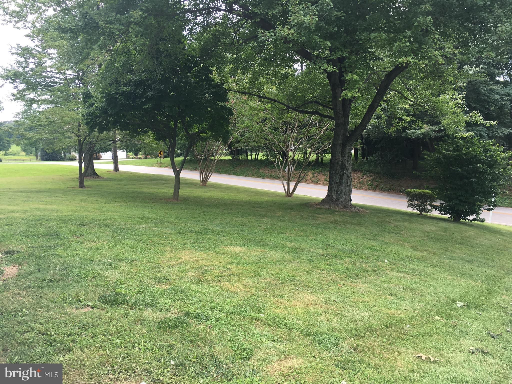 16825 Hardy Road Mount Airy, MD 21771 - Photo 2 of 23 Front yard