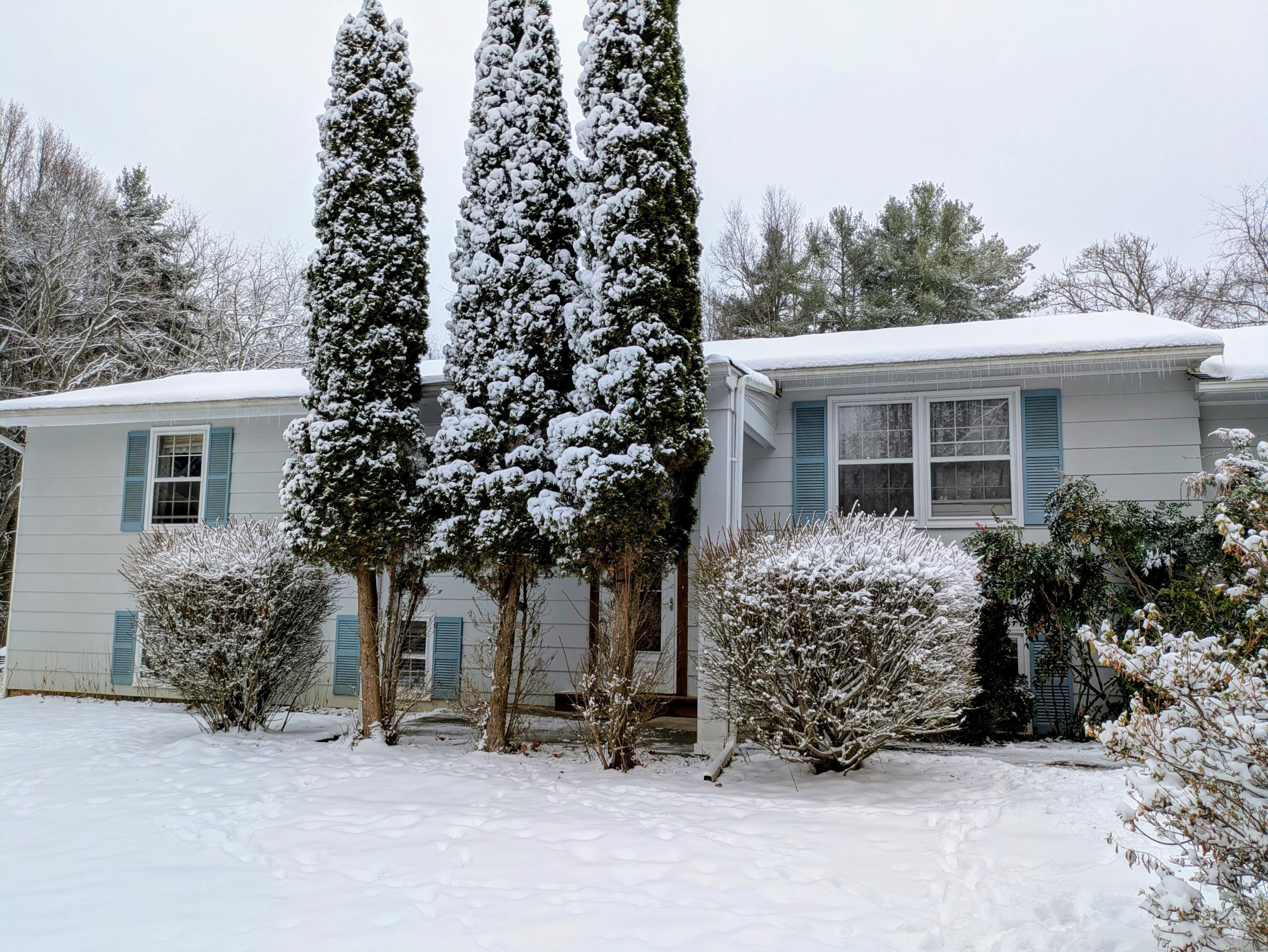 front view of a house with a trees