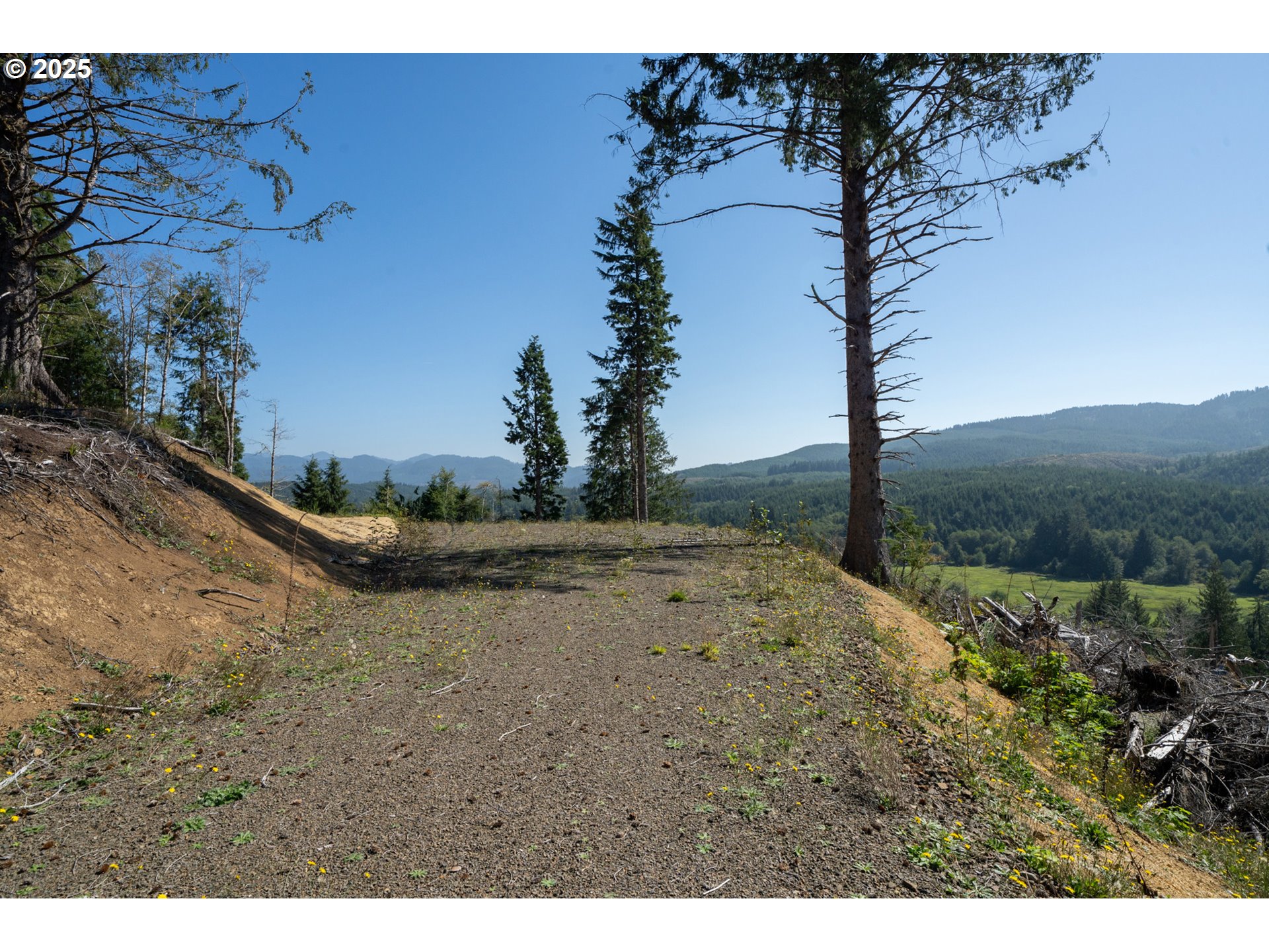 Sandlake Road, Unit 1207 Cloverdale, OR 97112 - Photo 12 of 37 a view of a dry yard with a tree
