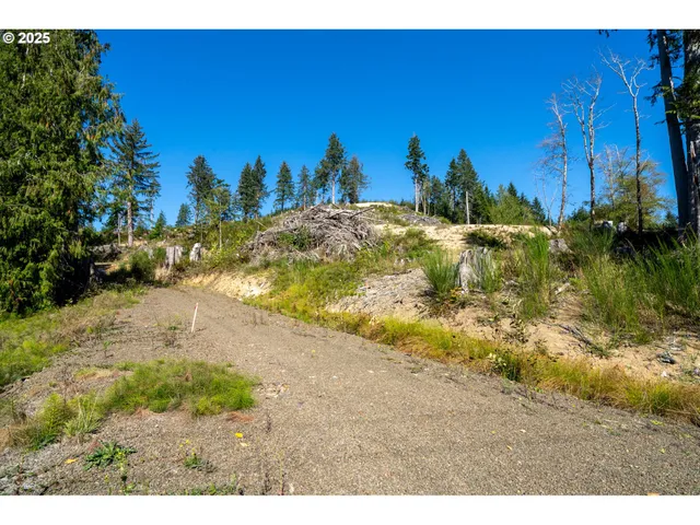 a view of a yard with a house