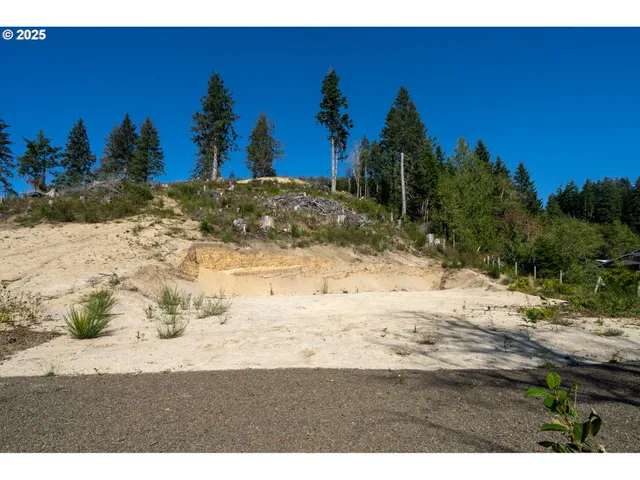 a view of a yard with a snow