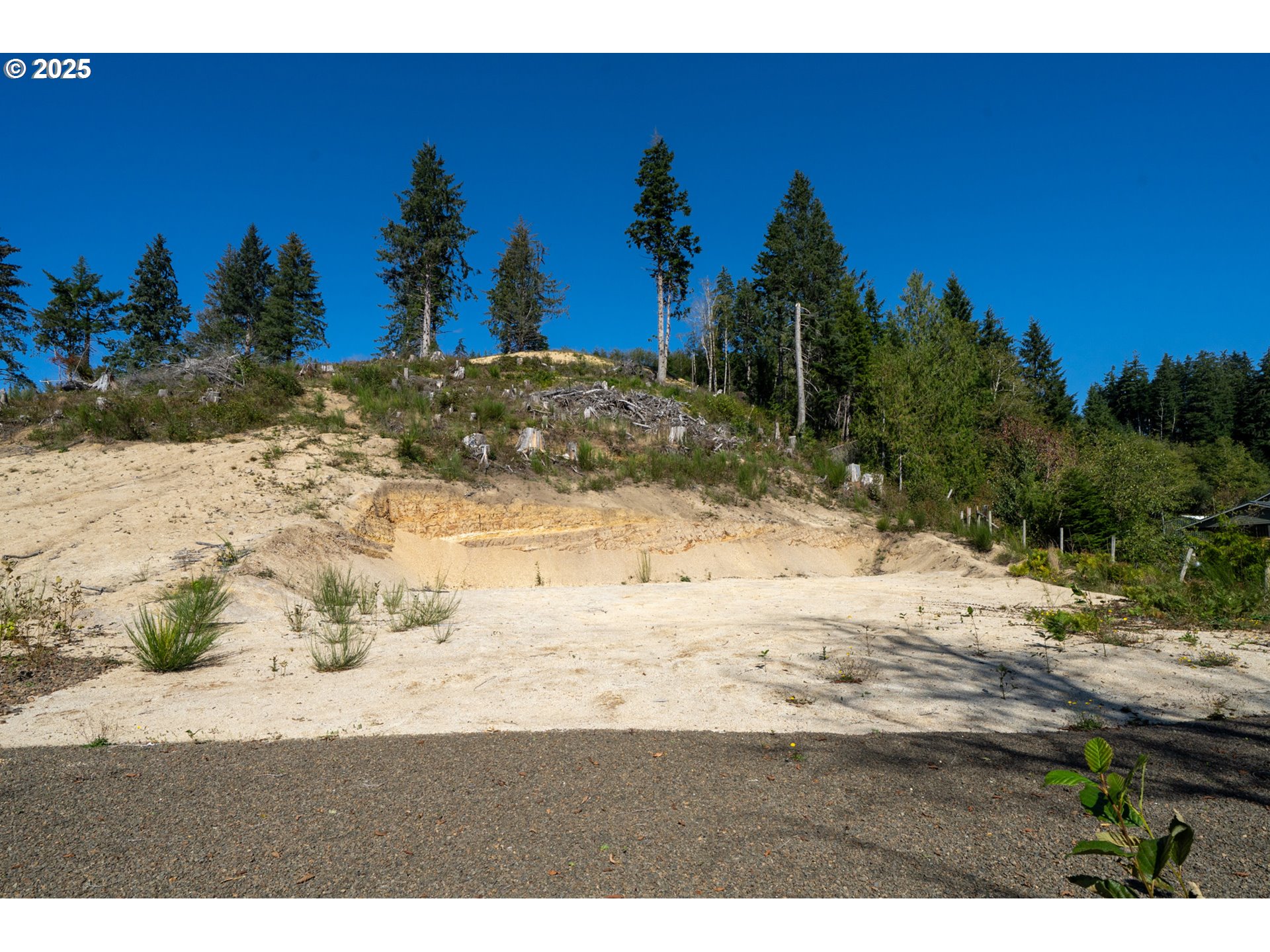 Sandlake Road, Unit 1207 Cloverdale, OR 97112 - Photo 15 of 37 a view of a yard with a snow
