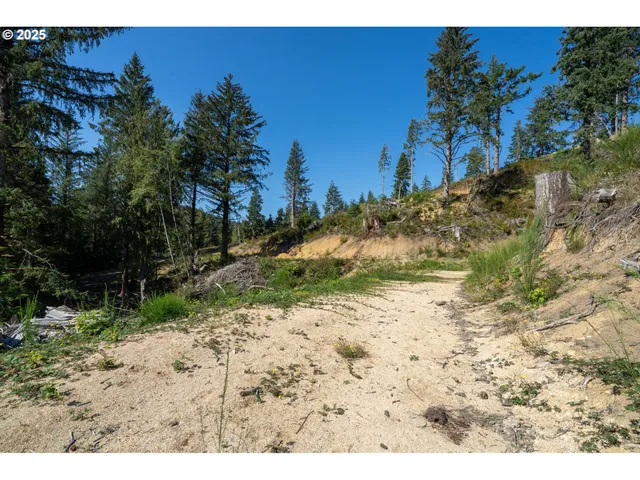 a view of a yard with a tree