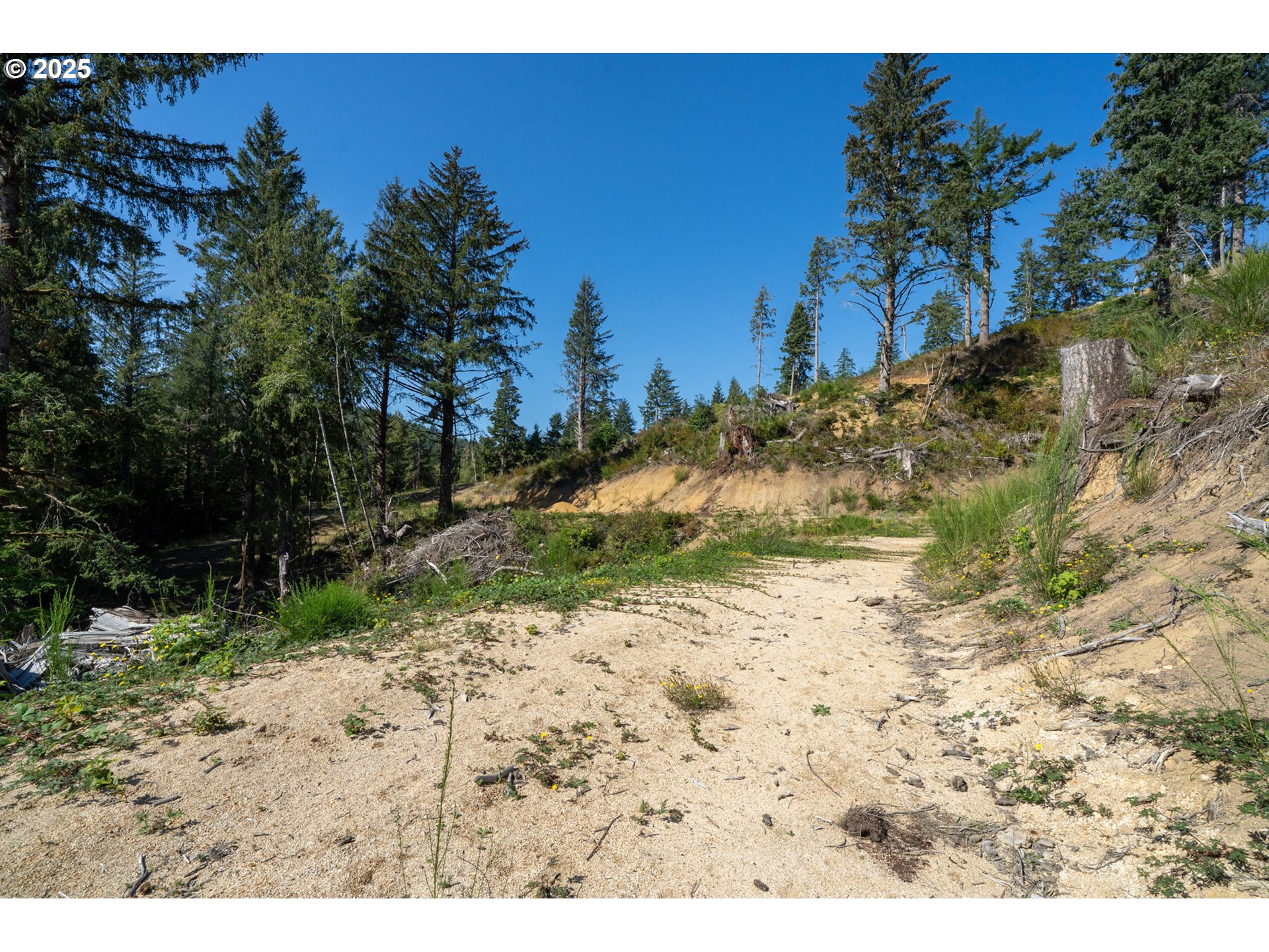 Sandlake Road, Unit 1207 Cloverdale, OR 97112 - Photo 16 of 37 a view of a yard with a tree
