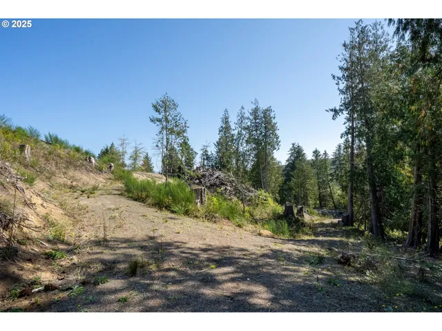 a view of a dry yard with trees in the background