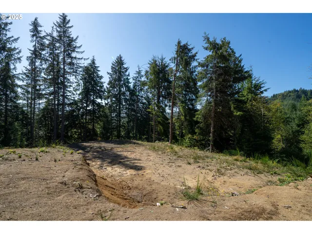 a view of a yard with a tree