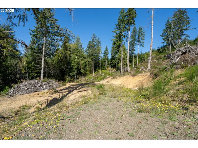 a view of a yard with trees