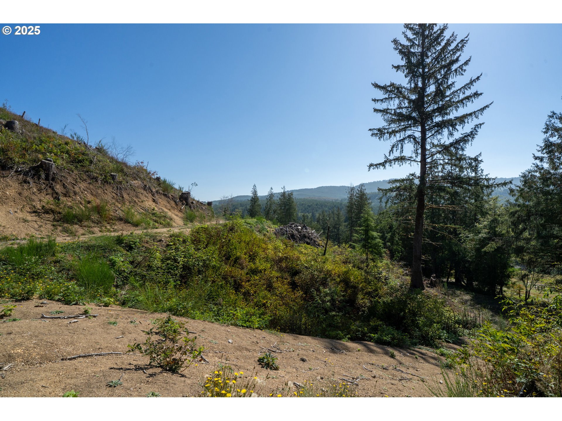 Sandlake Road, Unit 1207 Cloverdale, OR 97112 - Photo 27 of 37 a view of a yard