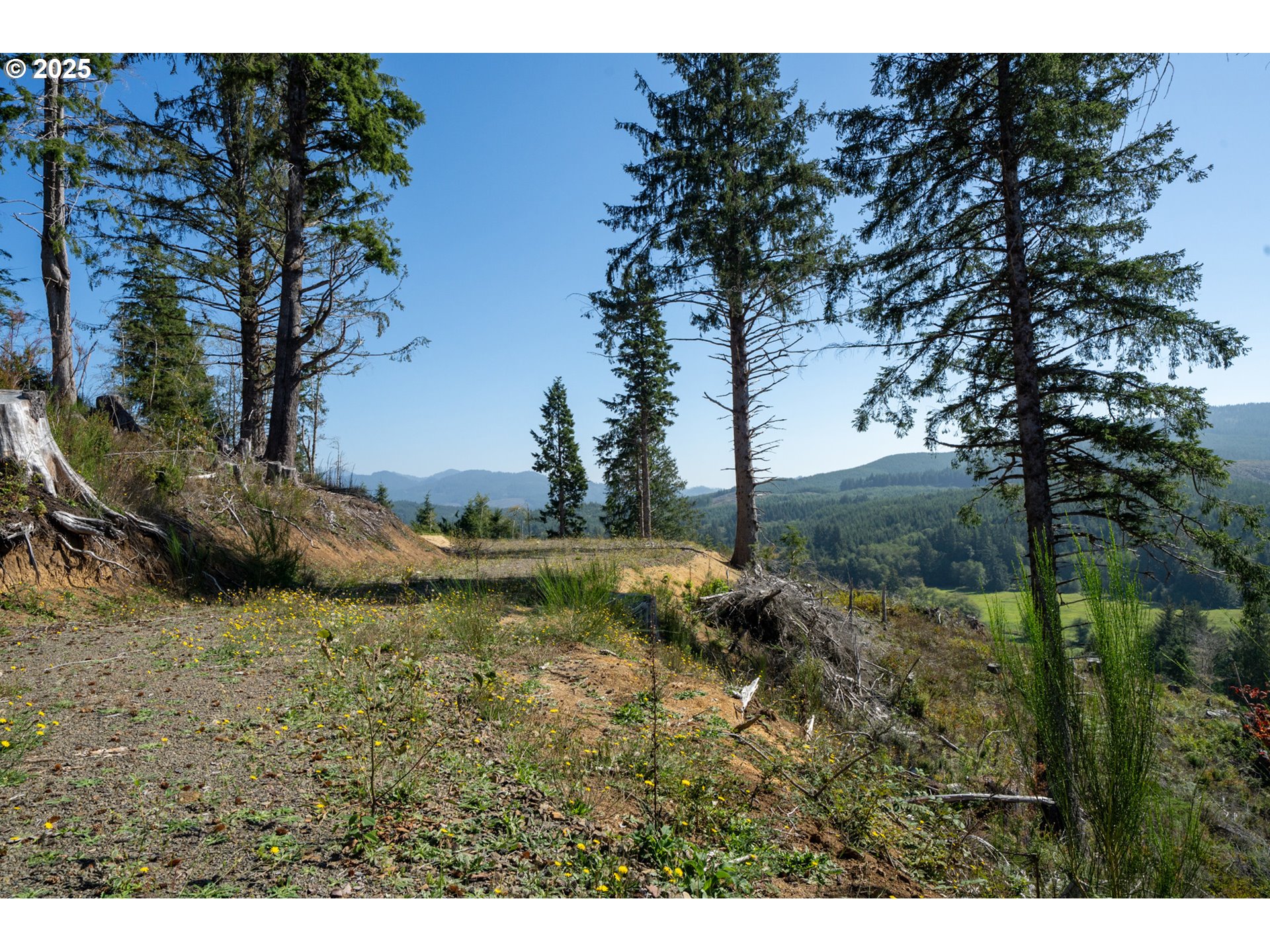 Sandlake Road, Unit 1207 Cloverdale, OR 97112 - Photo 28 of 37 a view of a yard