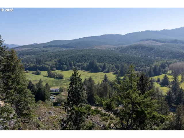 a view of a lush green hillside and houses