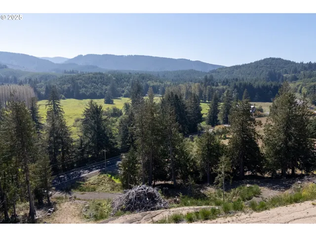 a view of a forest with mountains in the background